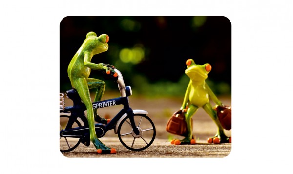 Микрофибра с рисунком 188 в упаковке  фото 