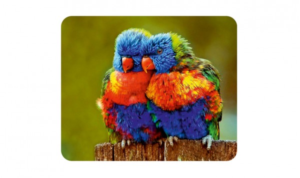 Микрофибра с рисунком 193 в упаковке  фото 