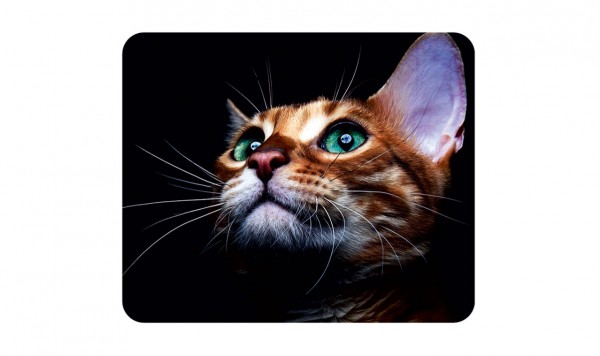 Микрофибра с рисунком 195 в упаковке  фото 