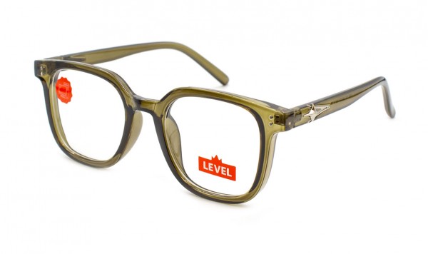 Окуляри комп'ютерні Level 667-C8  фото 
