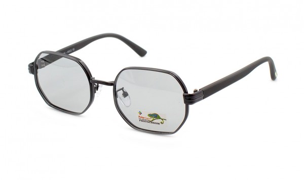 Окуляри фотохромні Polar Eagle PE06114-C1  фото 