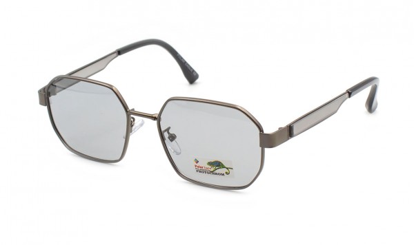 Окуляри фотохромні Polar Eagle PE06117-C3  фото 