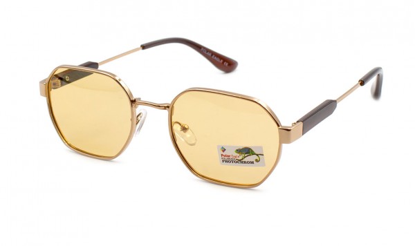 Окуляри фотохромні Polar Eagle PE06123-C2  фото 