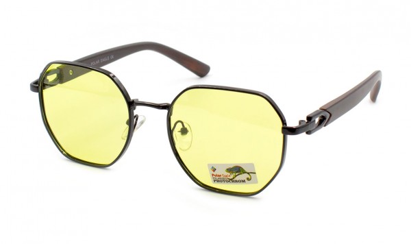 Окуляри фотохромні Polar Eagle PE06130-C7  фото 