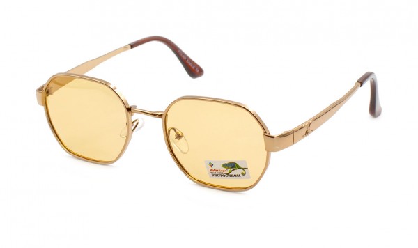 Окуляри фотохромні Polar Eagle PE06132-C2  фото 