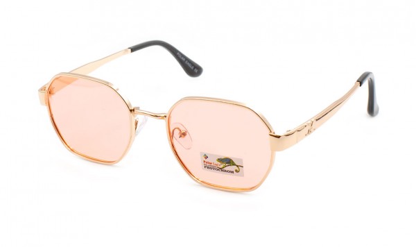 Окуляри фотохромні Polar Eagle PE06132-C4  фото 