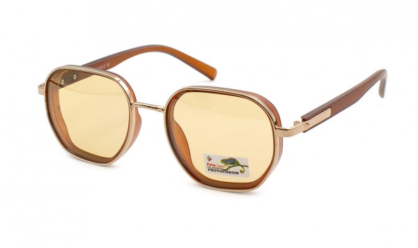 Окуляри фотохромні Polar Eagle PE06137-C2  фото 