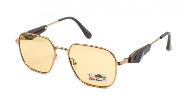 PE06151-C2  фото 