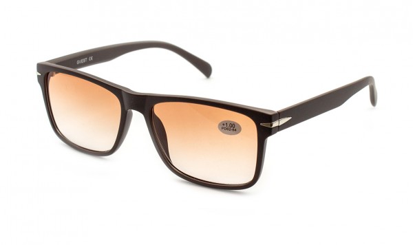 Очки Gvest 24414-C2 тон. в пластиковой оправе  фото 