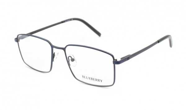 Оправа металева Blueberry 4200-C4  фото 