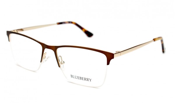 Оправа металева Blueberry TL3672-C2  фото 