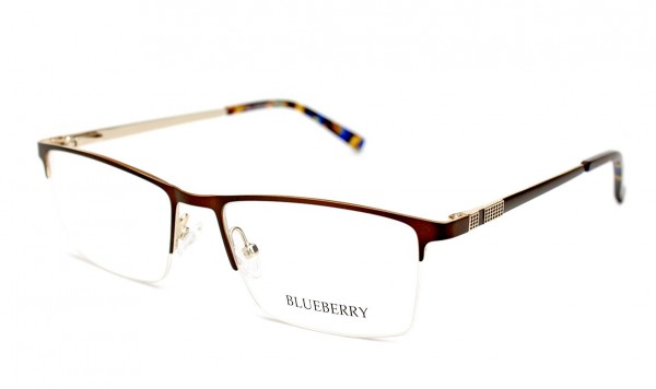 Оправа металлическая Blueberry TL3667-C2  фото 