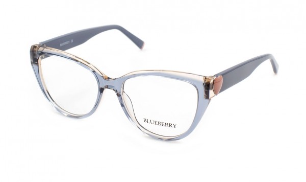 Оправа пластикова Blueberry 6696A-C3  фото 