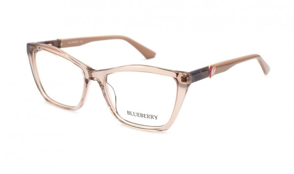 Оправа пластикова Blueberry 6723-C5  фото 