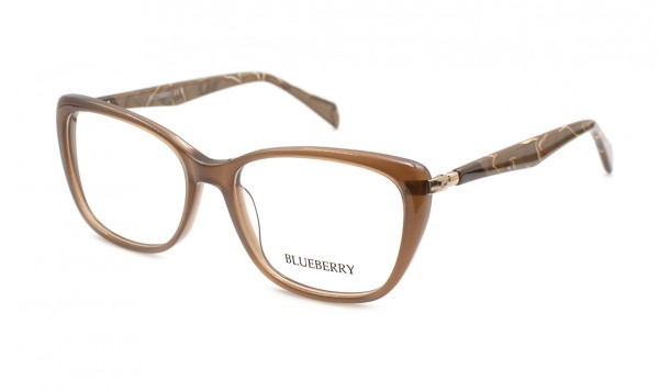 Оправа пластикова Blueberry 6739A-C3  фото 