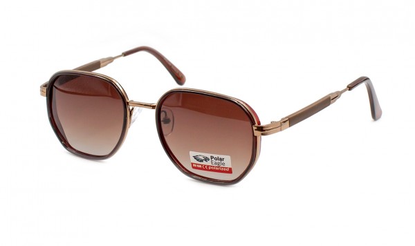 Сонцезахисні окуляри Polar Eagle 06328-C2  фото 