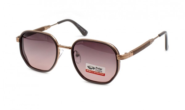 Сонцезахисні окуляри Polar Eagle 06328-C6  фото 