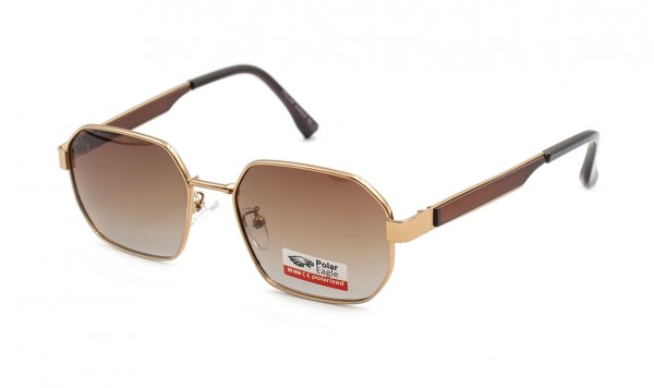 Сонцезахисні окуляри Polar Eagle 06320-C2  фото 