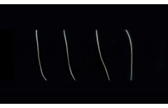 Ланцюжок 1858