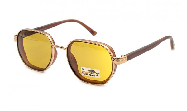 06136-C2-1  фото 