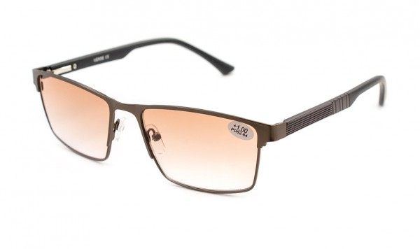 Окуляри Verse 24028-C2 тоновані у металевій оправі  фото 